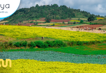 Long Weekend Escapes from Yangon: Travel Expert’s Guide to Recharging in Myanmar